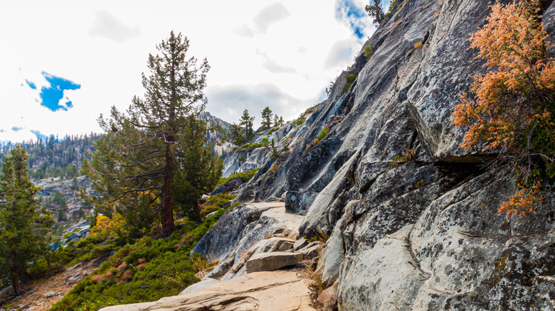 A ridge along Cascade Falls Trail