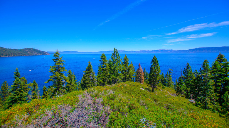 A view over Lake Tahoe from the Eagle Point Campground