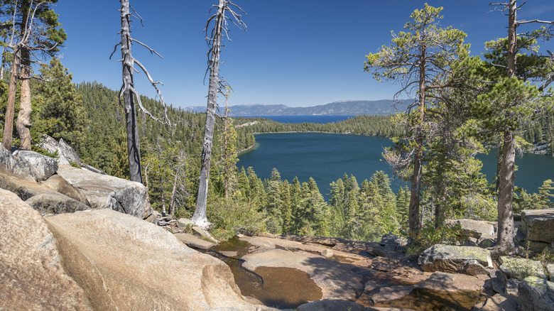 A view over Cascade Lake through the trees