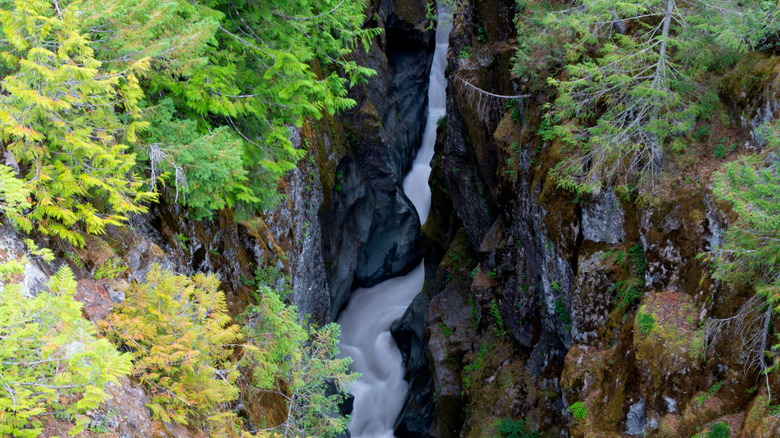 The narrow Box Canyon along the Muddy Fork of the Cowlitz River, Mount Rainier National Park