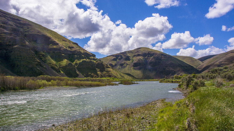 The John Day River at Cottonwood Canyon State Park, Oregon