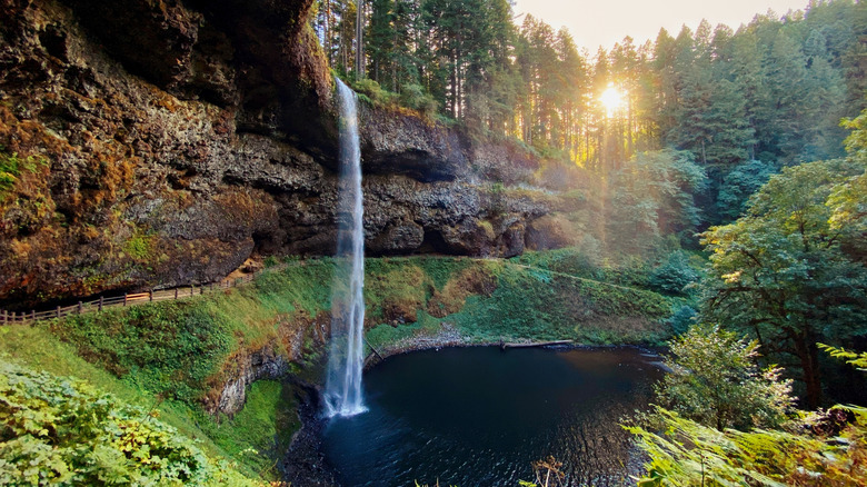 Silver Falls plunging into the Silver Creel Canyon at Silver Falls State Park, Oregon, USA