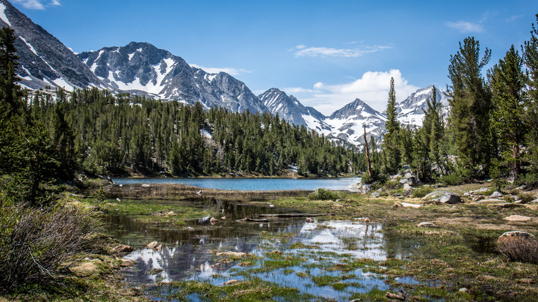 Snowy mountains tower over a lake on the Little Lakes Valley Trail
