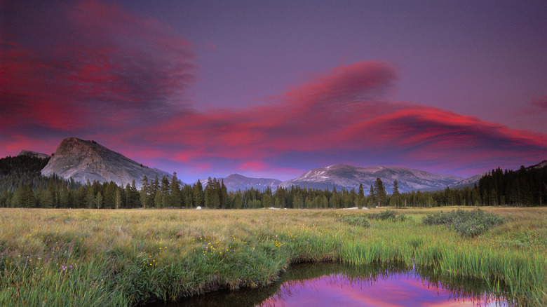 Tuolomne Meadows and Lembert Dome Yosemite