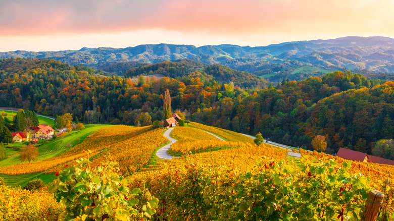 the famous heart-shaped road in Slovenia, near the border of Austria