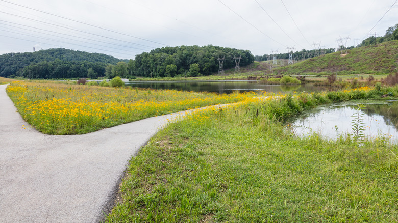 Greenway winds through Gupton Wetlands at Swan Pond Recreation Area, Harriman, TN