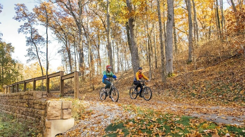 two people bike riding in a park in the fall in chelsea, michigan