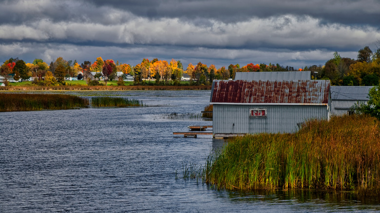 Boat docks by the riverside with fall foliage in background