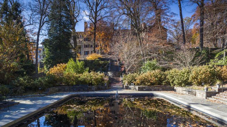 Pond and trees in foreground with buildings behind at the Winterthur Museum