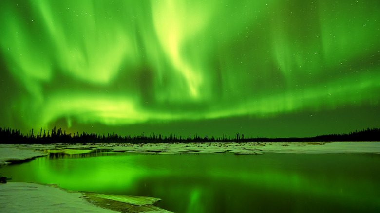 Northern Lights reflect in lake at Fairbanks, Alaska