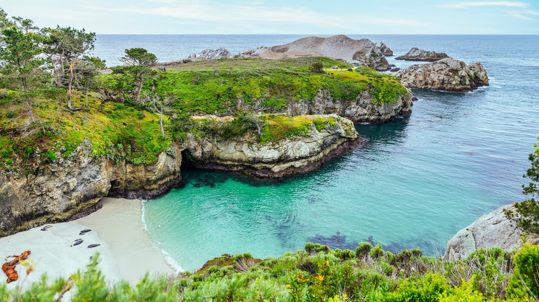 Point Lobos State Natural Reserve