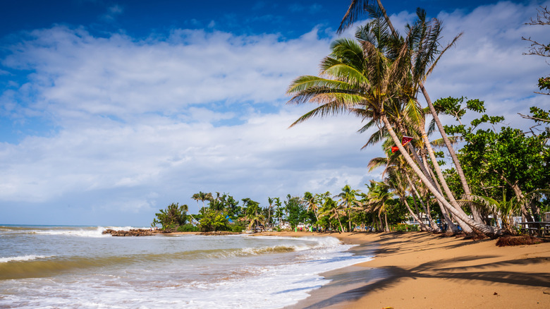 Steps Beach, part of Tres Palmas Marine Reserve