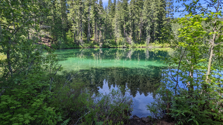 A hiking trail runs along the shoreline of Clear Lake in Oregon