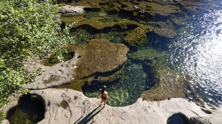 woman standing over tidal flats, Vancouver Island