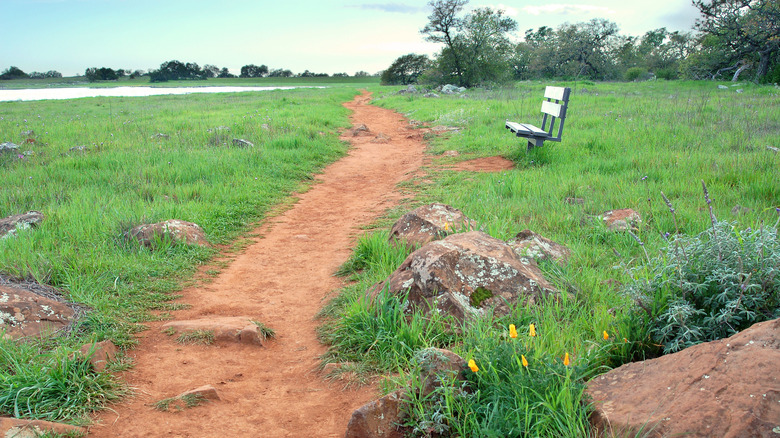 A quiet hiking trail at the Santa Rosa Plateau Ecological Reserve