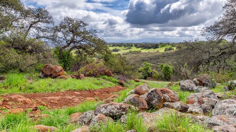 A green landscape inside the Santa Rosa Plateau Ecological Reserve