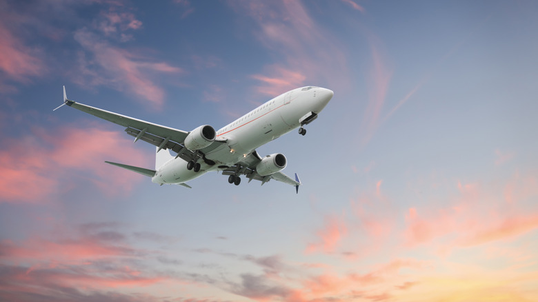 Plane in air at sunset