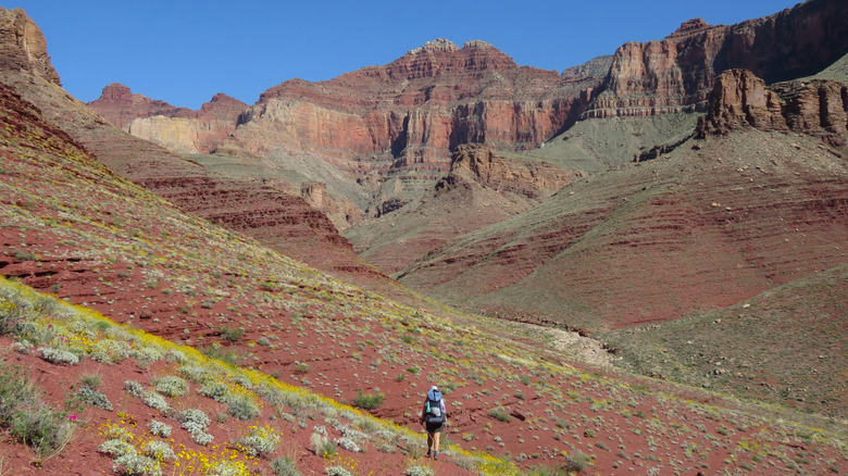 Backpacker walking the Escalante Route