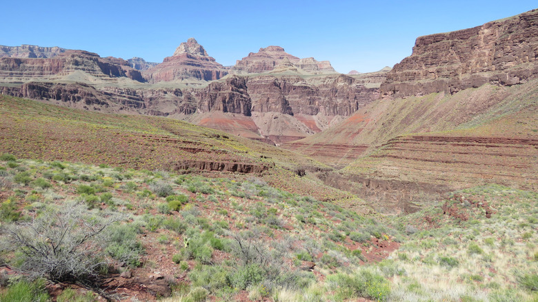 View of the Grand Canyon National Park from the Escalante Route