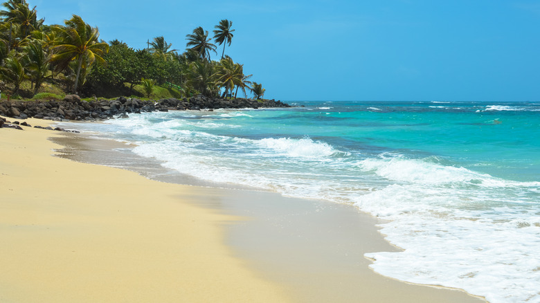 Big Corn Island beach
