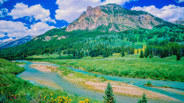 A view of a mountain and stream in Granite Creek, Wyoming
