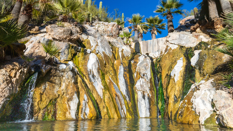 Multicolored cliffs with palm trees by hot spring.