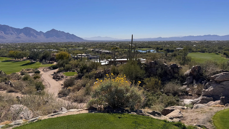 View of Stone Canyon golf course in Tucson