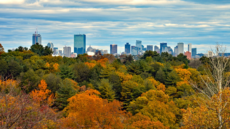 Autumn view from Peters Hill with the Boston skyline