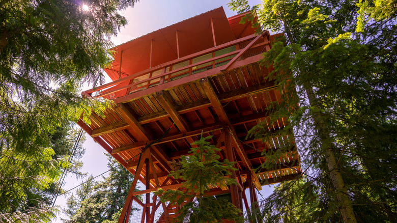 View through tree up to the bottom of a wooden lookout tower, Idaho