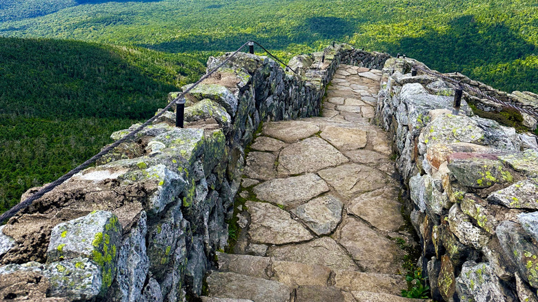 Aerial view from Whiteface Mountain in the summer
