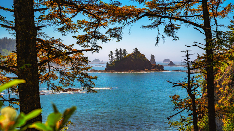 A rocky islet coverd in trees rises from the ocean near La Push