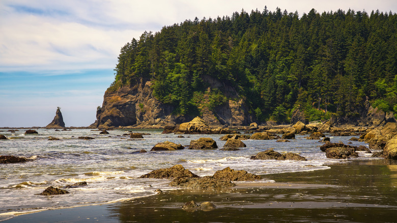 Rocks are revealed at low tide on La Push's Third Beach