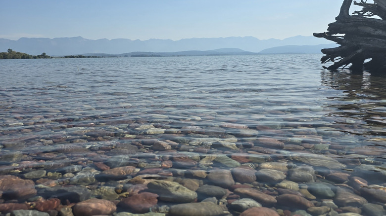 The pebbles and rocks lining Somers Beach's shoreline