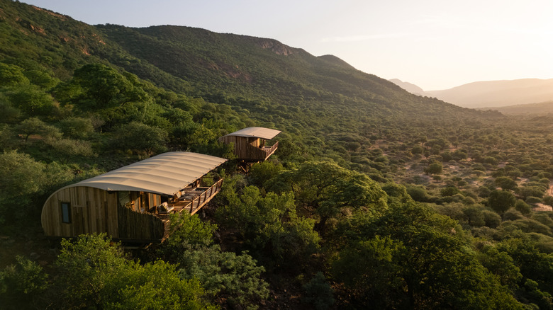 Two wooden structured suites perched within green tree tops on a mountain, under a golden hour sky.