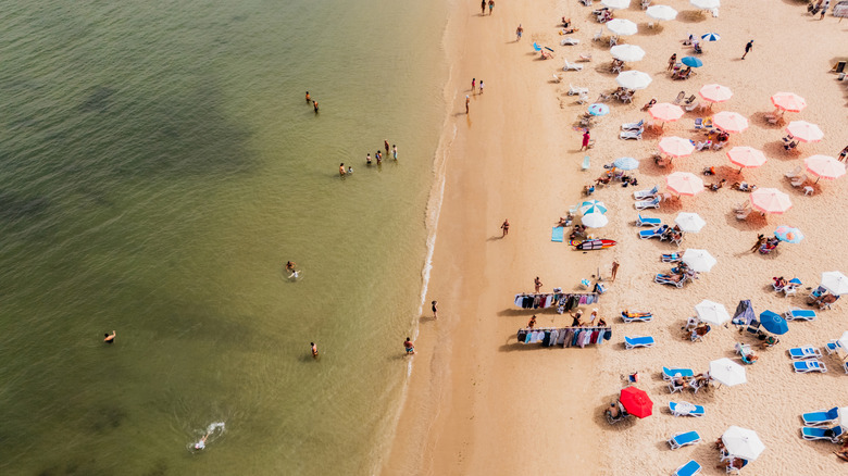 Playa Mansa, Punta Del Este, Uruguay