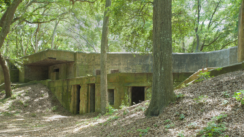 Moss and oak trees grow around the cement ruins of Fort Fremont, in South Carolina.