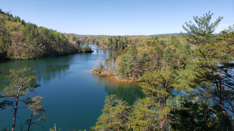 Keowee-Toxaway State Park lake and forest views