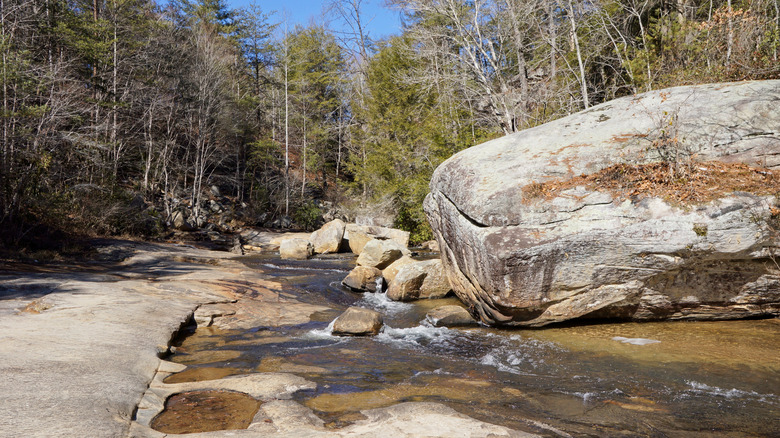 Streak rushing through rocks at What to do at Keowee-Toxaway State Park