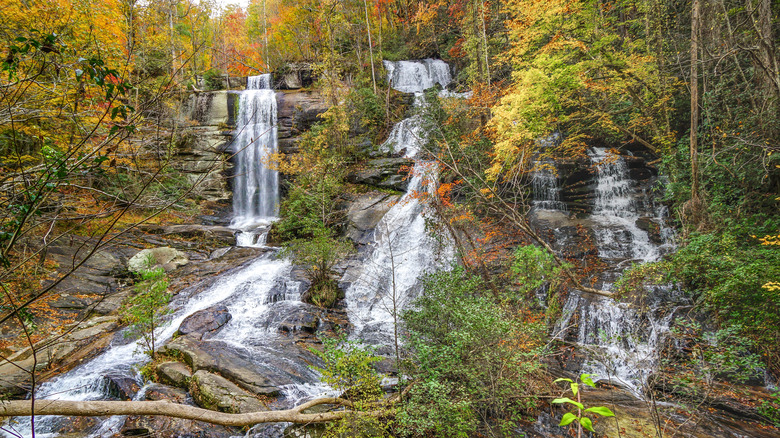 Waterfalls in a forest during autumn