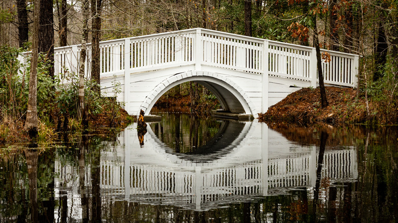 White bridge in swamp marsh at Cypress Gardens