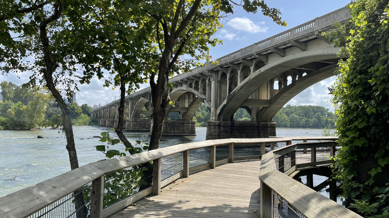 A walk path along the Congaree River
