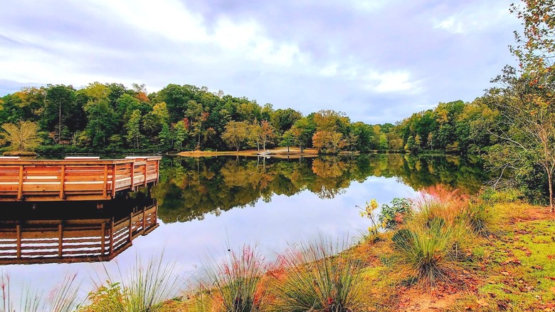 A lake in Anne Close Springs Greenway in Fort Mill surrounded by trees in the fall
