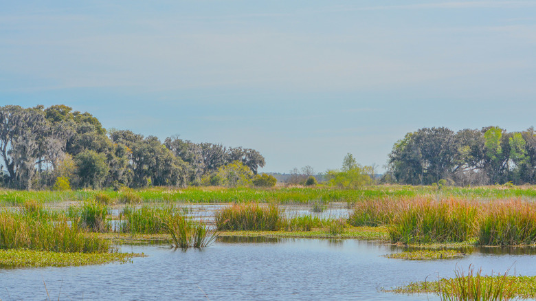The Savannah Wildlife Refuge in Hardeeville, South Carolina