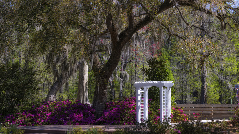 A quaint park in Moncks Corner, South Carolina