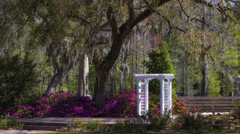 A pristine park in Moncks Corner, South Carolina