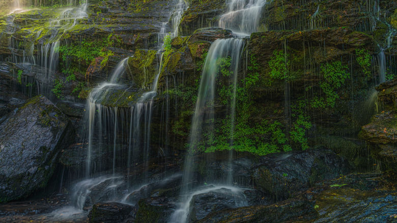 Waterfall over mossy rocks in Sumter National Forest