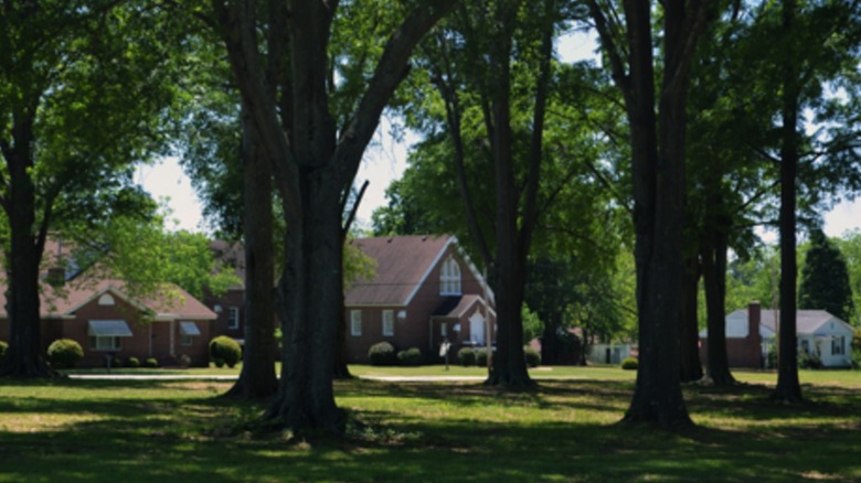 Epworth Methodist in the trees in Joanna