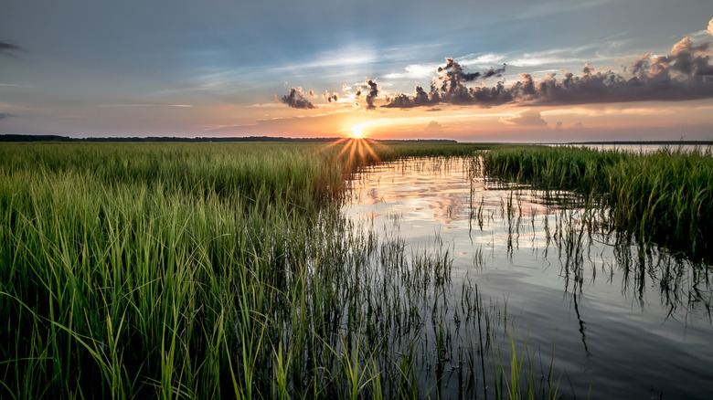 Sunset over marshlands in Lowcountry, South Carolina