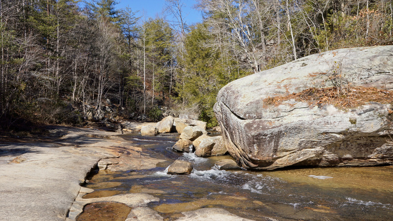 a stream in Keowee Toxaway State Park in South Carolina