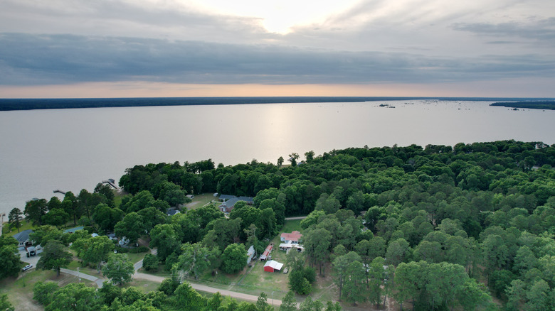Aerial view of forested land surrounding Lake Marion in South Carolina